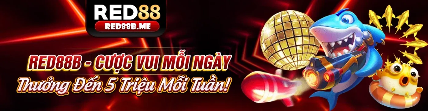Hướng dẫn người mới bắt đầu Vibet88 Win