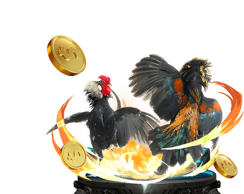 Tổng quan đá gà vibet88 win